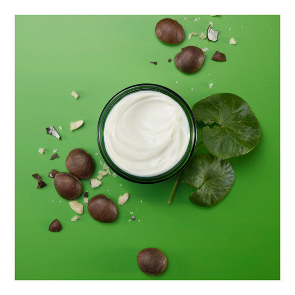 Weleda Skin Food Nourishing Night Cream 40ml
