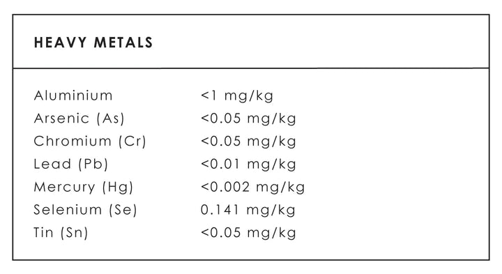 Mitchells Bone Broth Protein Chocolate 500g