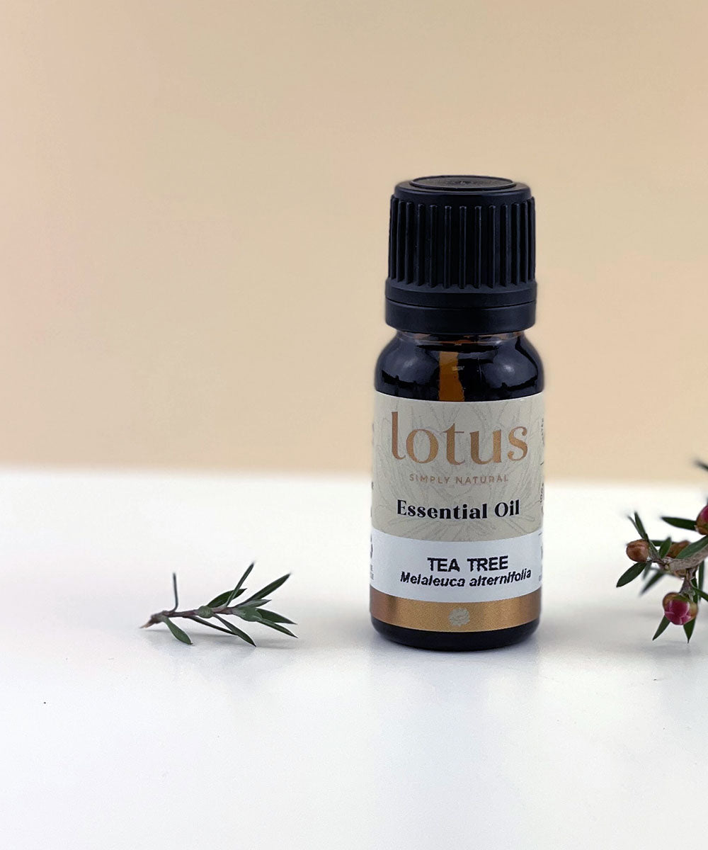Lotus Tea Tree Oil 10ml