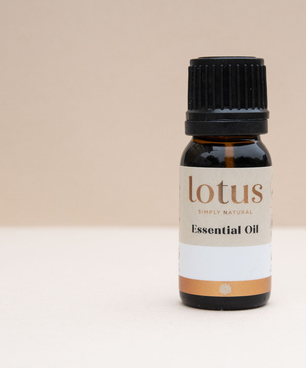 Lotus Oil Ginger CO2 10ml
