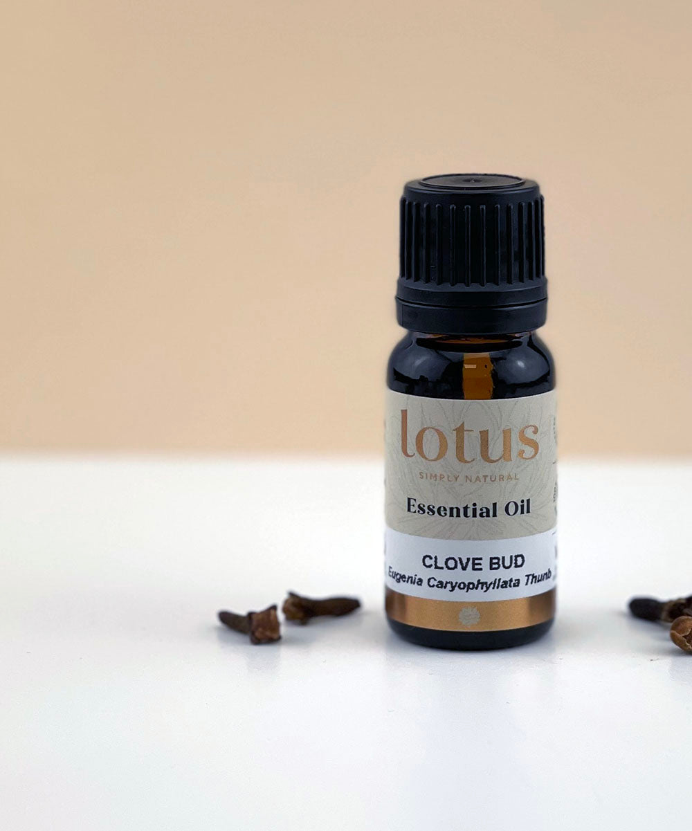 Lotus Oil Clove Bud 10ml